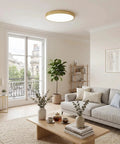 Bright living room with modern circular ceiling light above a grey sofa and coffee table, with a view through large window.