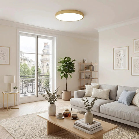 Bright living room with modern circular ceiling light above a grey sofa and coffee table, with a view through large window.