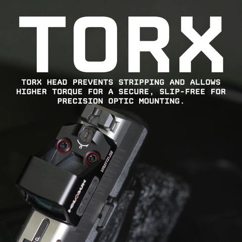 Badass Gunsmithing Screw Kit Featuring Torx T10 Fasteners for mounting optics on rifle receivers, showing Torx head design.