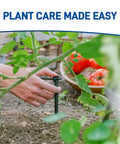 Hand installing Tomato Garden Drip Irrigation System Kit For 10 Plants With Push Connect Fittings in vegetable garden