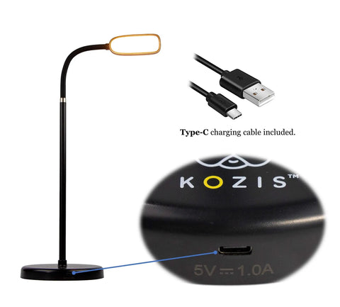 Rechargeable Type C FlexLamp 2 in 1 Desk and Floor Lamp with USB-C port and cable