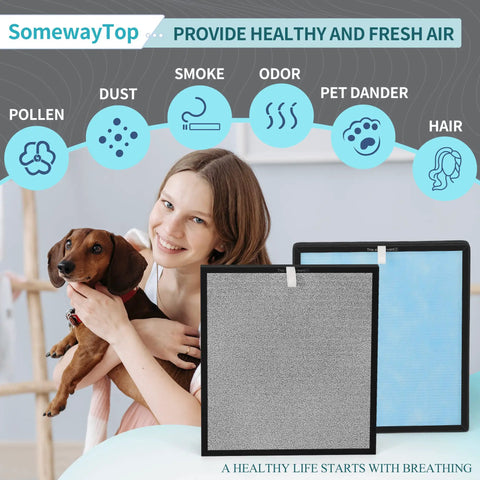Woman with dog beside Two Pack Air Replacement Filter Set For Home Air Purifier With True HEPA H13 Filter Carbon Odor Control