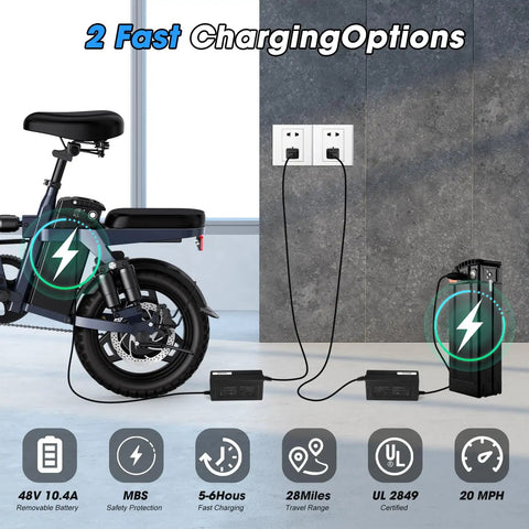 Foldable 14 Inch Electric Bike With A 650W Peak Motor charging options with removable battery and dual disc brakes