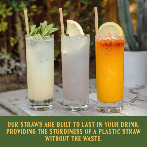 Bulk Agave Straws 6 Inch 2000 Count Sustainable And Compostable Drinking Straws Made From Upcycled Agave Plant Fiber in three drinks