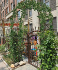 Metal Garden Arch Trellis For Climbing Plants And Vines Backyard Wedding Ceremony Decor Outdoor Pergola Arbor Ready To Support Flowers Roses And Ivy