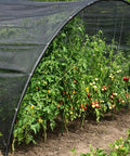 Sturdy Black Patio Mosquito Netting 9.8Ft By 18Ft Garden Mesh For Plants Fruits And Vegetables protecting a garden area.
