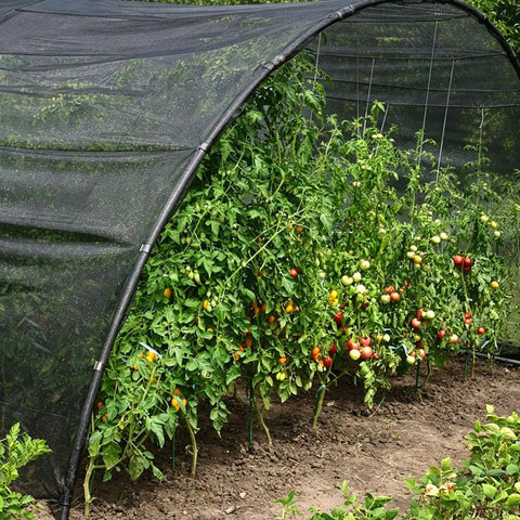 Sturdy Black Patio Mosquito Netting 9.8Ft By 18Ft Garden Mesh For Plants Fruits And Vegetables protecting a garden area.