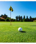 Close-up of a golf ball on green grass with a flag in the distance, suitable for Ultra Clear Golf Simulator Screen For Indoor And Outdoor Practice