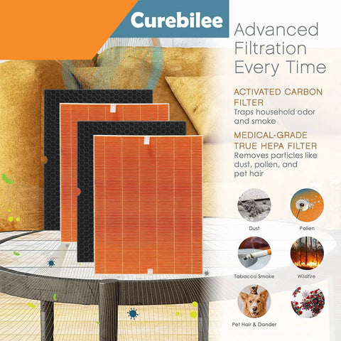 Premium True HEPA Replacement Filter I for C555 Air Purifier with activated carbon filters, showing advanced filtration
