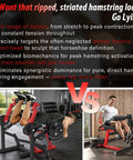 Pro Grade Unilateral And Bilateral Leg Extension And Curl Machine With Convertible Seated Leg Extension And Lying Leg Curl Bench for home gym setup