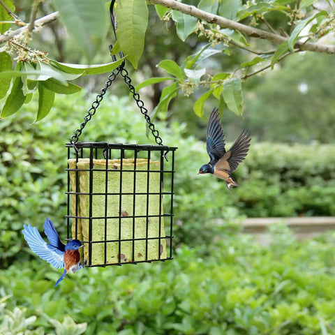 Two Pack Outdoor Suet Cage Bird Feeders For Outside Hanging With One Suet Cake Capacity, durable black finish, hanging in garden.
