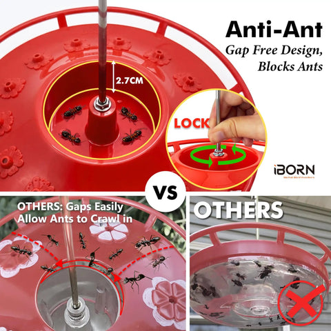 Bee Proof Hummingbird Feeder With Ant Moat And 14 Feeding Ports 13 Oz Saucer Style Outdoor Hanging Hummingbird Feeder shown with ant moat.