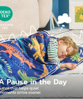 Child sleeping on Toddler Nap Mat With Removable Pillow And Minky Blanket 55 By 30 Inches Colorful Dinosaur Design