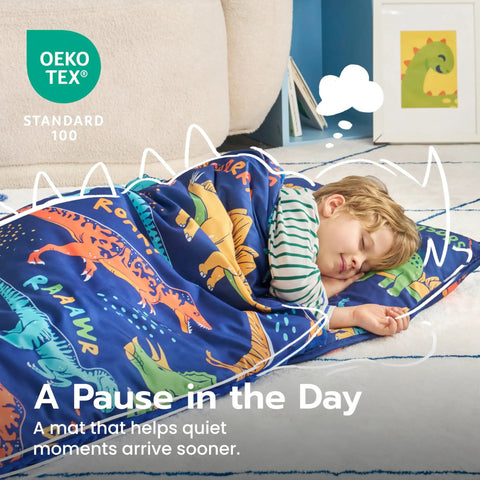 Child sleeping on Toddler Nap Mat With Removable Pillow And Minky Blanket 55 By 30 Inches Colorful Dinosaur Design