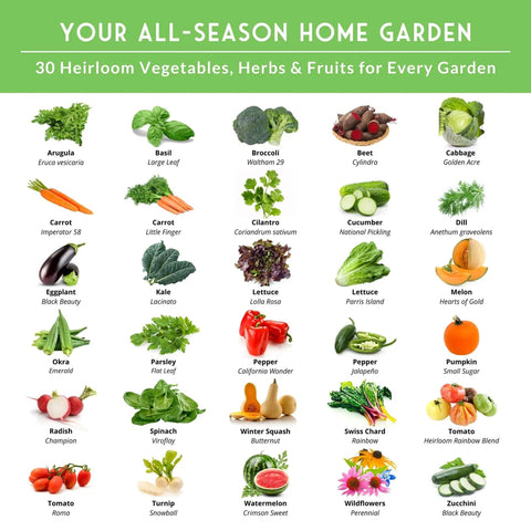 Image of 30 heirloom vegetables, herbs, and fruits from the 30 Varieties Heirloom Seed Vault Kit For Non GMO Vegetables Herbs And Fruit With 18,500 Plus Seeds Beginner Friendly Home Garden Survival Grow Kit For Year Round Harvest And Prepper Ready.
