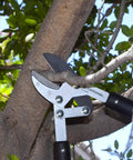 Compound Action Anvil Lopper 32 Inch Heavy Duty Branch Cutter trimming thick tree branch in garden