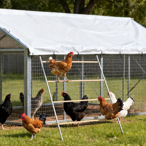 Large Chicken Roosting Bars For Coop 55 Inch Perch With Sturdy Metal Frame Easy To Clean Roost Ladder in use by hens.