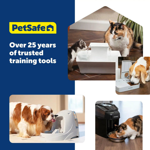 Multiple pets using various PetSafe feeders and fountains.