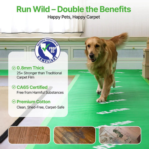 Golden retriever walking on green Heavy Duty Floor Protector For Construction And DIY, 39x100 Inch Waterproof Carpet Shield.