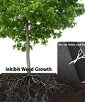 Tree with 32.5 Inch Nonwoven Tree Mulch Ring Six Pack Reusable Weed Barrier Mat Degradable for root protection and weed control.