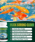 Pro Pond Muck Reducer For Fish Ponds Baths And Fountains No Fuss Easy And Efficient Deep Clean With 500 Tablets 500g label