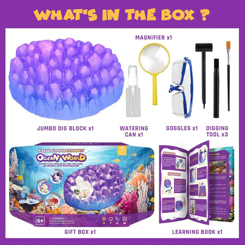 Ocean Fossil Dig Kit For Kids Dig Up Real Shells And Seasnails Excavation STEM Marine Biology And Geology Science Toy 20 Plus Fossils Hidden In A Coral Shaped Dig Brick Educational Hands On Discovery Gift For Boys And Girls Ages 6 And Up, jumbo dig block and tools