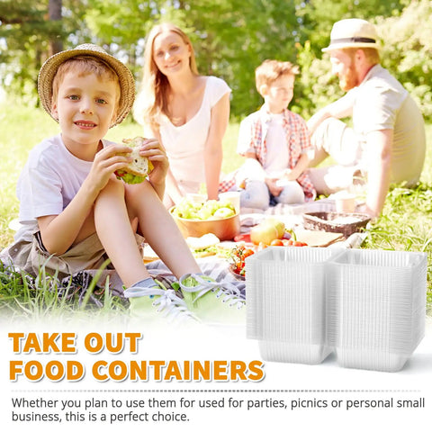 Family picnic with 50 Pack Clear Plastic Takeout Containers With Hinged Lids For Cookies Desserts Fruits Salads And Sandwiches