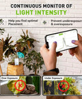 All In One App Remote Monitoring WiFi Soil Meter for Plants with phone displaying light intensity graph in indoor setting