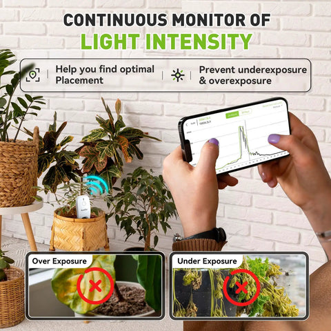 All In One App Remote Monitoring WiFi Soil Meter for Plants with phone displaying light intensity graph in indoor setting