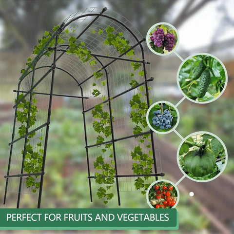 7.5 Ft Metal Garden Arch Trellis with netting featuring grapes, cucumber, blueberries, melon, and tomatoes, vertical growth.