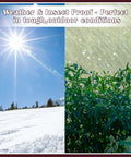Sunny winter landscape and rainy green plants showcasing durability in weather and insect proof conditions outdoors.