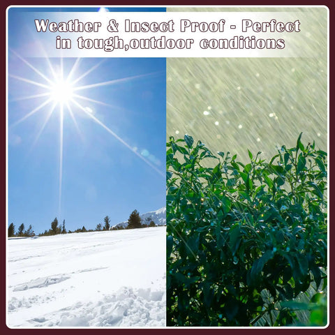 Sunny winter landscape and rainy green plants showcasing durability in weather and insect proof conditions outdoors.