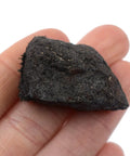 Lodestone Magnet Mineral Specimen Hand Processed And Geologist Selected About 1 Inch Dope For Science Classrooms
