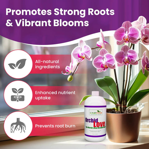 Liquid Orchid Fertilizer For All Orchid Species And Types, Quick Acting Plant Food That Boosts Growth And Big Blooms, Nutrient Rich Formula With Natural Ingredients, 1 Gallon, orchid bottle beside blooming potted orchid