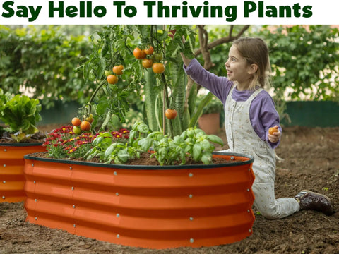 Child gardening with Open Base Galvanized Raised Garden Bed For Outdoor Use 4 By 2 By 1 Ft Planter For Veggies Flowers And Herbs Orange Metal Garden Box Built Tough Weatherproof And Easy To Assemble.
