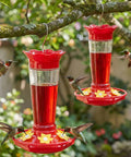 Outdoor Hummingbird Feeder 2 Pack Ant And Bee Proof Clear 10 Ounce With 6 Flower Shaped Ports hanging on a tree branch.