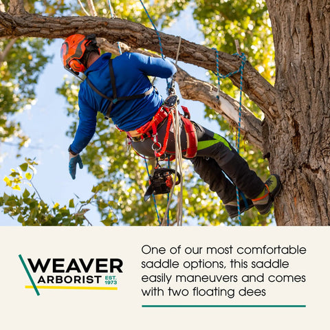 Climber using Two Floating Dees With Padded Nylon Leg Straps For Quick Access And Secure Fit during tree rigging.