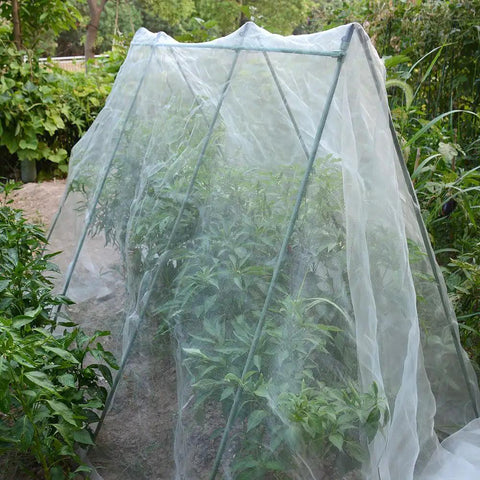 10x15 Ft Garden Netting For Insect Barrier And Pest Protection covering plants in a garden, fine mesh structure visible