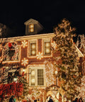 Brick house adorned with Warm White 50 Count Mini Christmas Lights On White Wire For Indoor Outdoor Decor, festive holiday display
