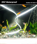 Aquarium with Ultra Bright 24V White LED Strip 16.4ft 6000K Cool White, 14000lm, 120W, IP67 Waterproof, illuminating underwater scene