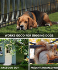 45.33Ft No Dig Pet Barrier Fence With 32 Panels For Rabbits And Dogs Rustproof Metal Border installed in garden with dog and squirrel