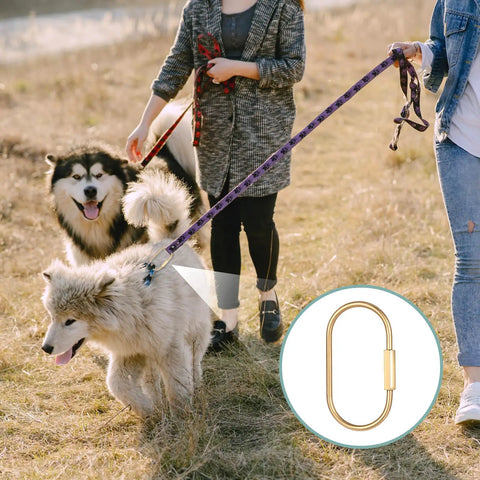 16 Piece Locking Brass Carabiner Key Ring Set With Screw Lock Clips gold finish shown with leashes and large dogs outdoors