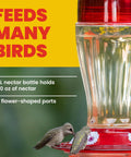 Bird Health Plus Big Gulp Hummingbird Feeder With Five Flower Shaped Ports, Glass Exterior For Outdoors, 40 Ounces Nectar Capacity.