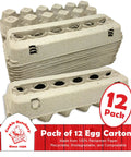 Vented Paper Pulp Egg Cartons 12 Pack Holds 1 Dozen Eggs Biodegradable And Compostable Recycled Paper For Backyard Flock