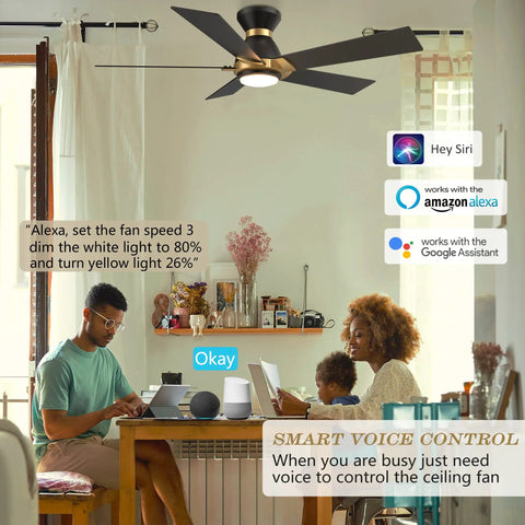 Lit Wifi Led Ceiling Fan With Remote And App Control, Timer And Schedule, Damp Location Rated 52 Inch With Plywood Blades