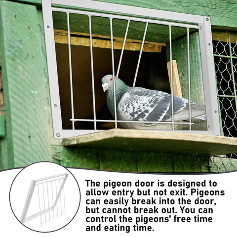 Two Pigeon Cage Doors One Way Entrance Iron For Racing And Breeding, Heavy Duty Go To Choice, 11.81 x 10.24 Inches White