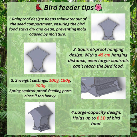 Diagram of squirrel-proof bird feeder with rainproof and large-capacity design, metal construction, hanging distance details, and weight settings.