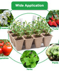 Seed Starter Tray Kit With 240 Cell Biodegradable Peat Pots For Seedlings in use with flowers, fruits, and herbs displayed around.