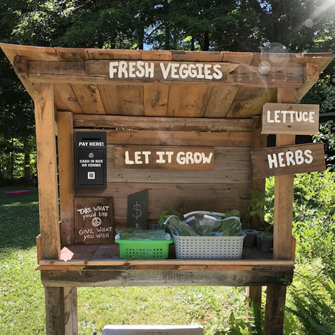 Farm stand with fresh veggies, herbs, and a Lockable Cash Drop Box With Slot For Farm Stand Sales Office Or Home.