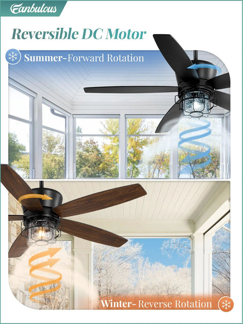 52 Inch Outdoor Ceiling Fan With Lights And Remote For Porch Patio And Gazebo, IP65 Waterproof With 6 Speed DC Motor